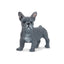 Toymany French Bulldog Puppy Standing