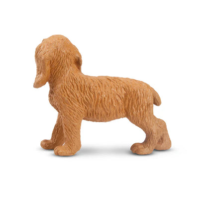 Toymany Chiot Cocker debout