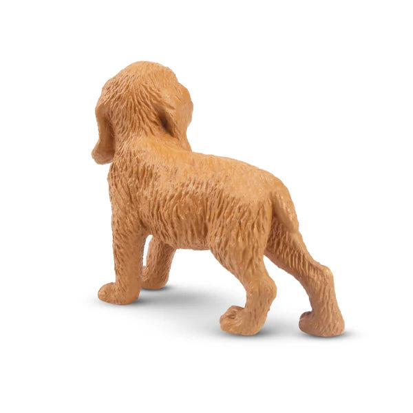 Toymany Chiot Cocker debout
