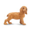 Toymany Chiot Cocker debout