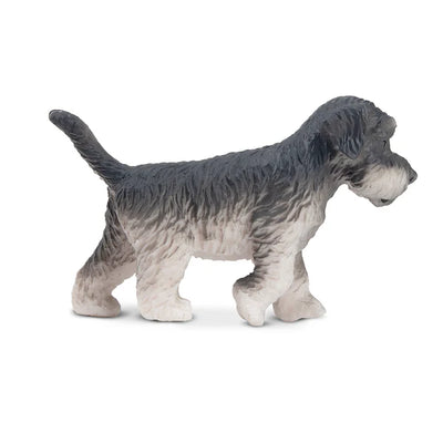 Toymany Chiot Schnauzer debout