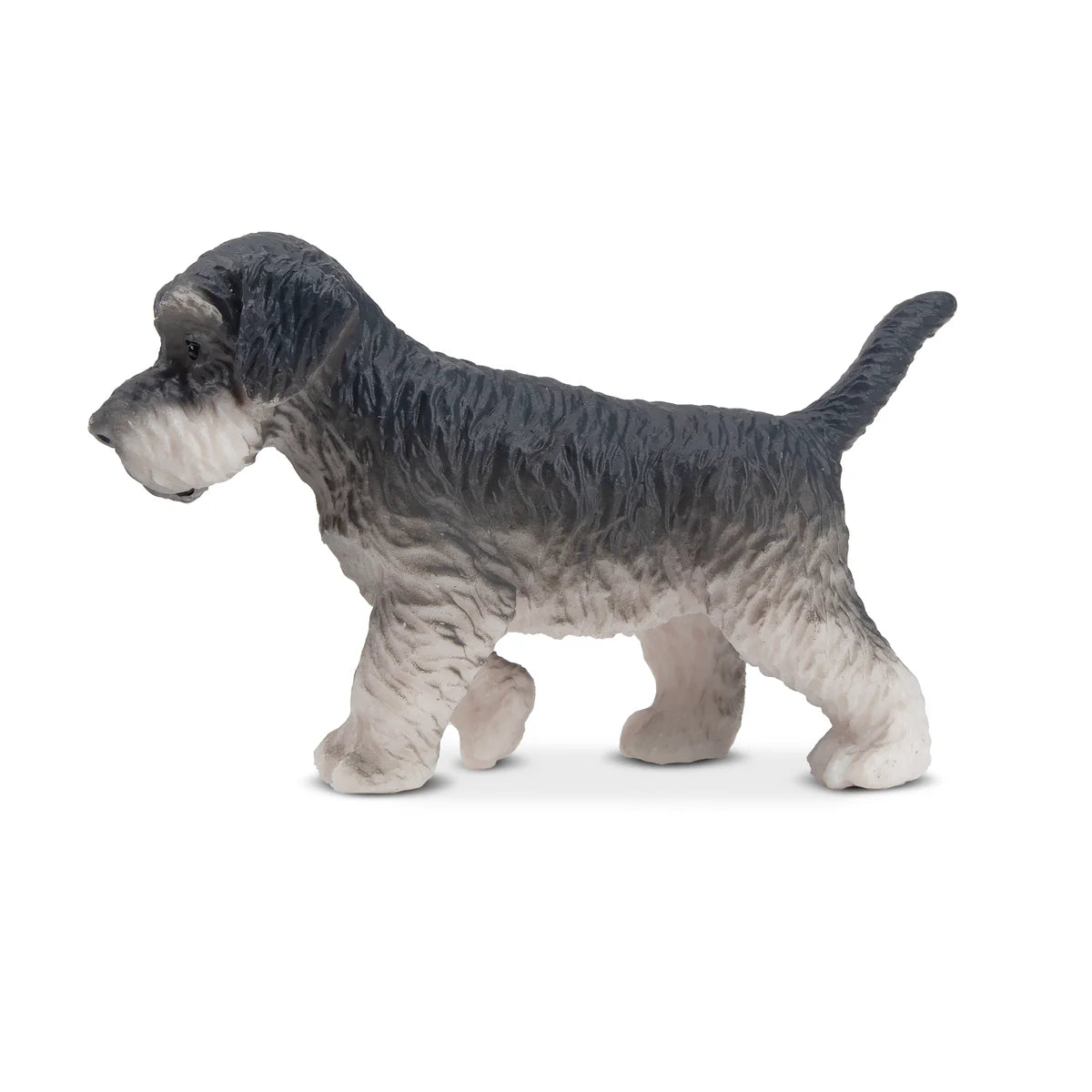 Toymany Schnauzer Puppy Standing