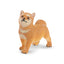 Toymany Chiot Shiba Inu debout