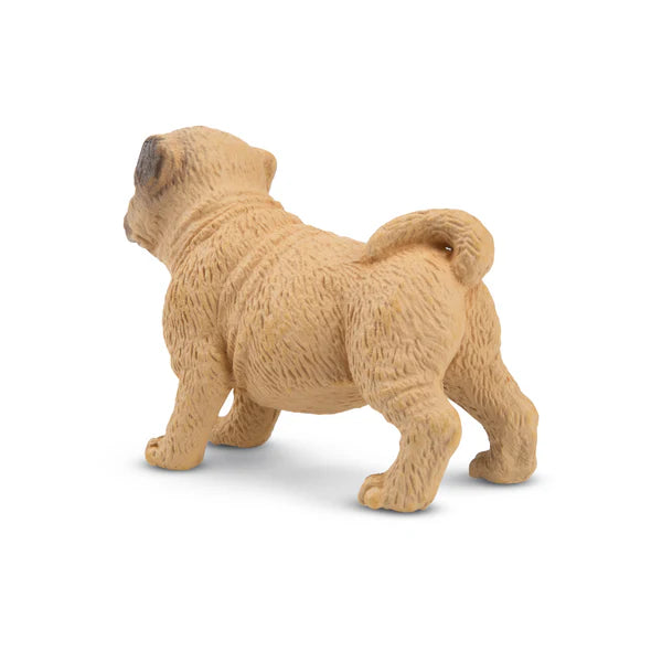 Toymany Pug Puppy Standing