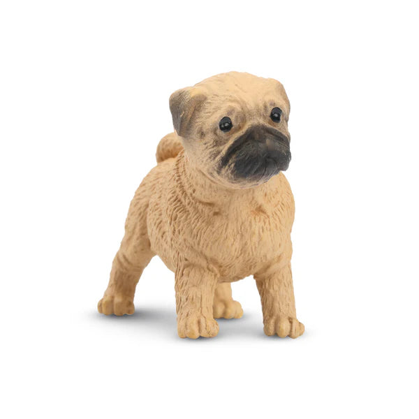 Toymany Pug Puppy Standing