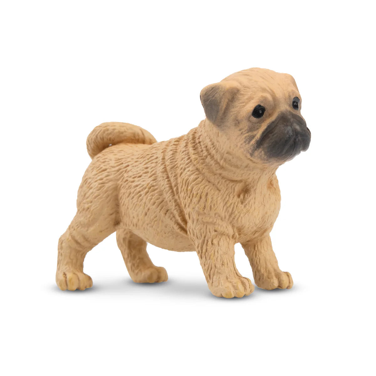 Toymany Pug Puppy Standing