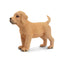 Toymany Chiot Labrador debout