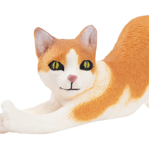 Toymany Orange and White Cat
