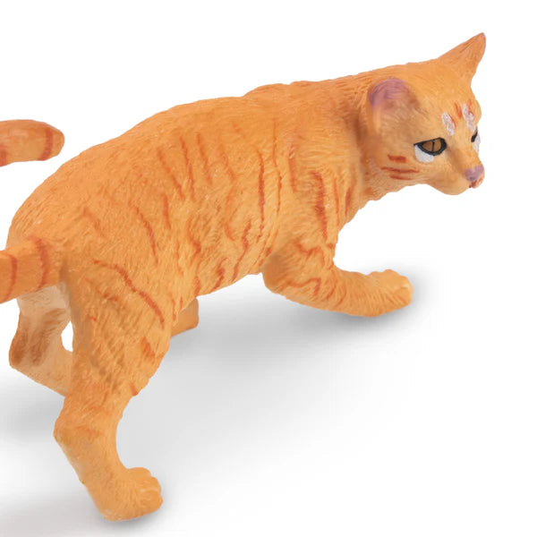 Toymany Chat Tabby orange debout