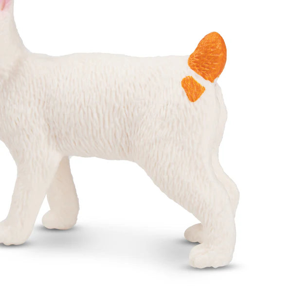 Toymany Japanese Bobtail Cat