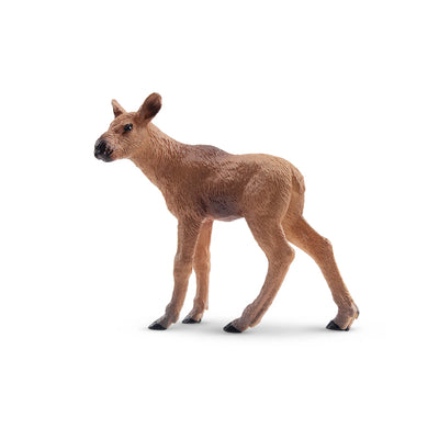 Toymany Bébé élan