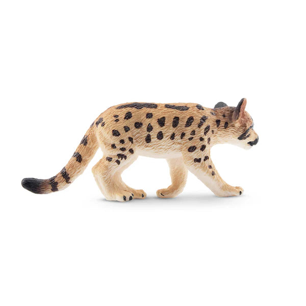 Toymany Bébé puma