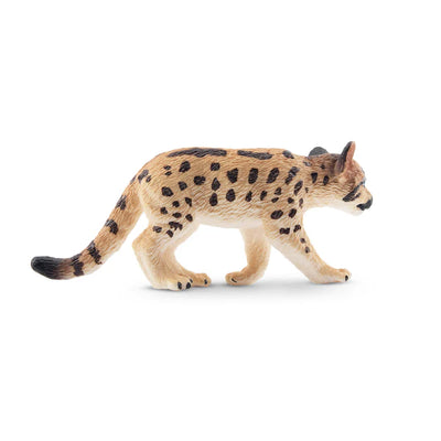 Toymany Bébé puma