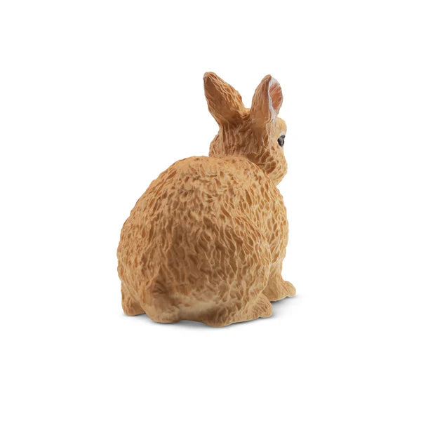 Toymany Lapin nain Néerlandais