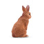 Toymany Lapin néo-zélandais