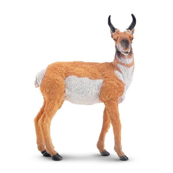 Toymany Antilope