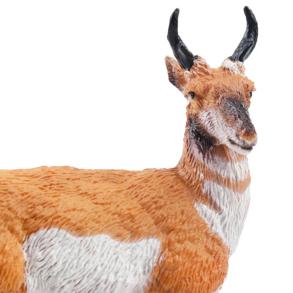 Toymany Antilope