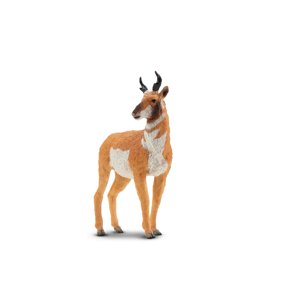 Toymany Antilope