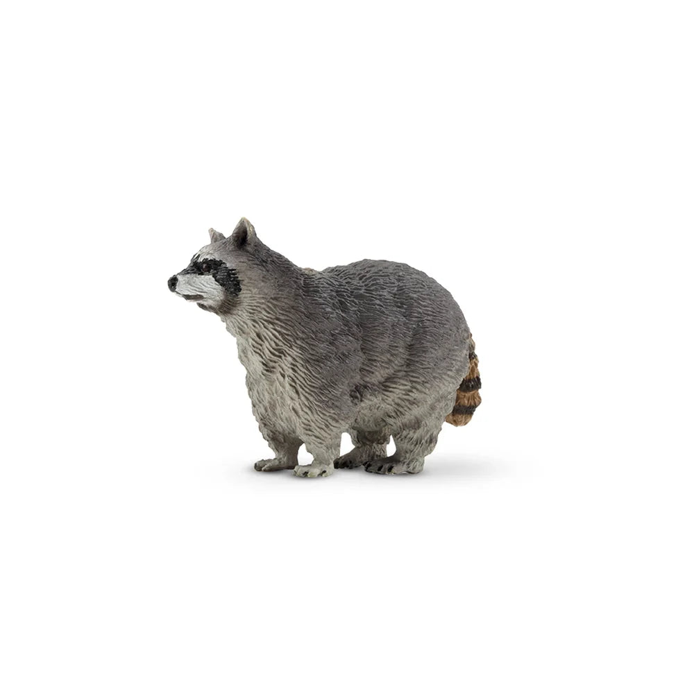 Toymany Raton laveur