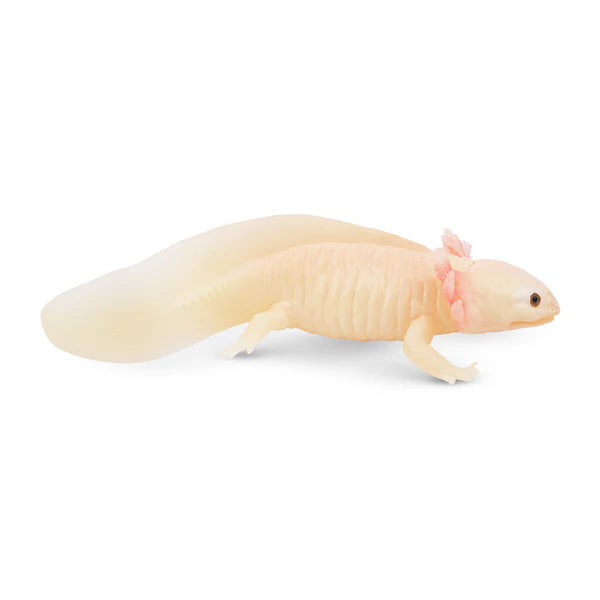 Toymany Axolotl
