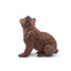 Toymany Brown Bear Sitting