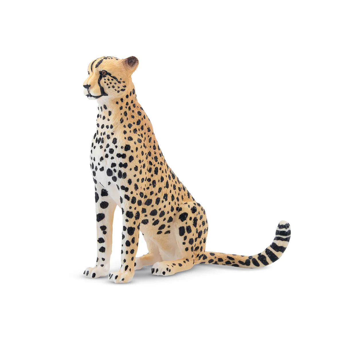 Toymany Guépard femelle assise