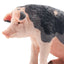 Toymany Cochon Pietrain Verrat assis