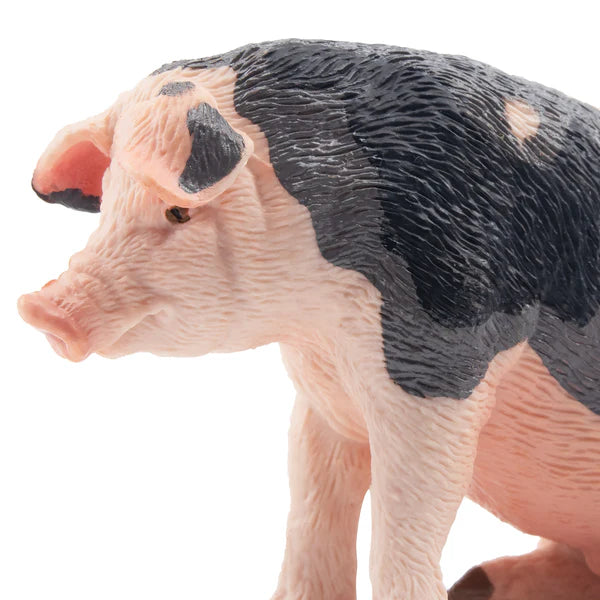 Toymany Cochon Pietrain Verrat assis