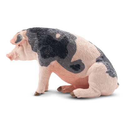 Toymany Cochon Pietrain Verrat assis