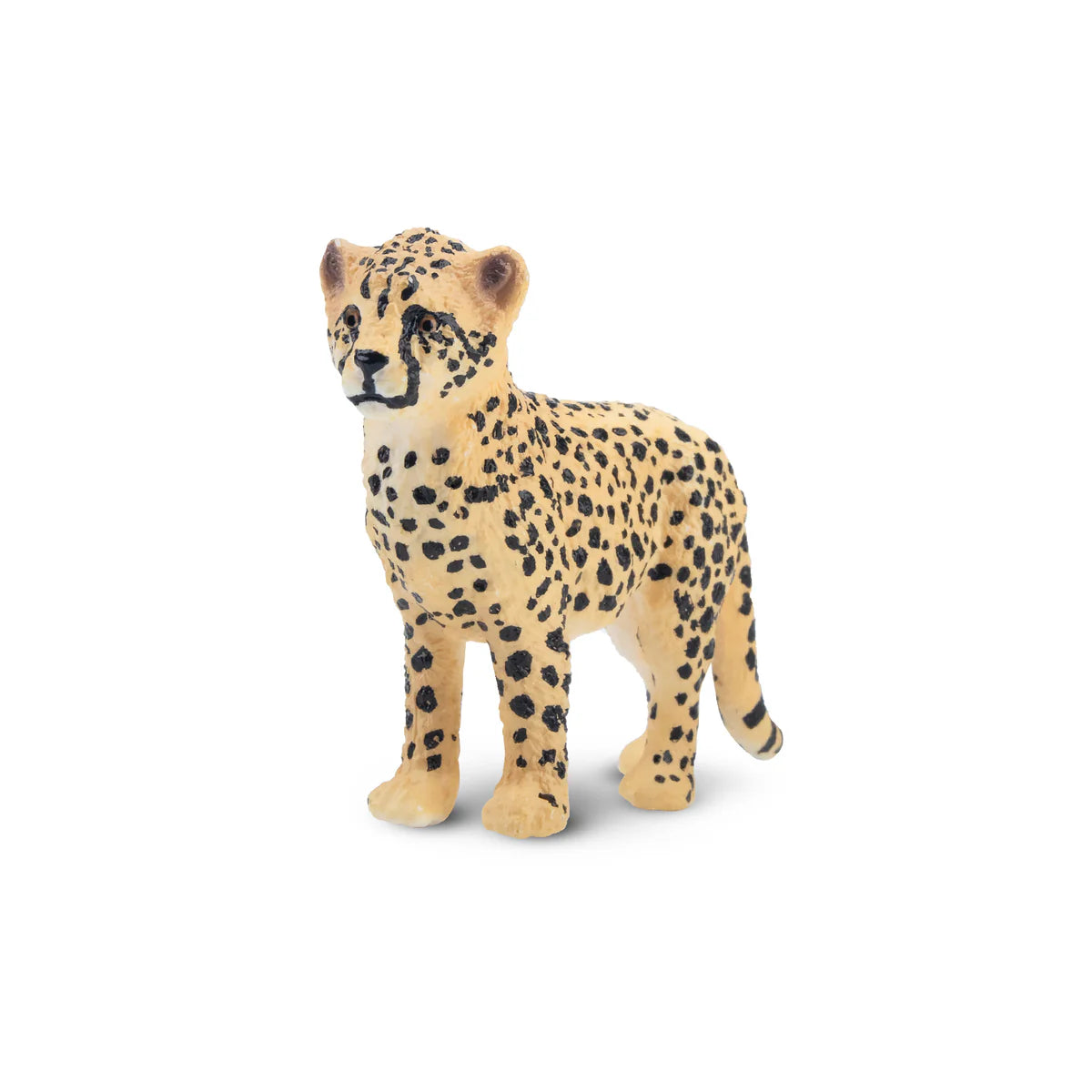 Toymany Bébé Guépard