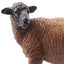Toymany Ovin Brebis marron