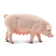 Toymany Pig Sow Standing