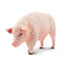 Toymany Pig Sow Standing