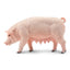 Toymany Pig Sow Standing