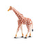 Toymany Girafe debout