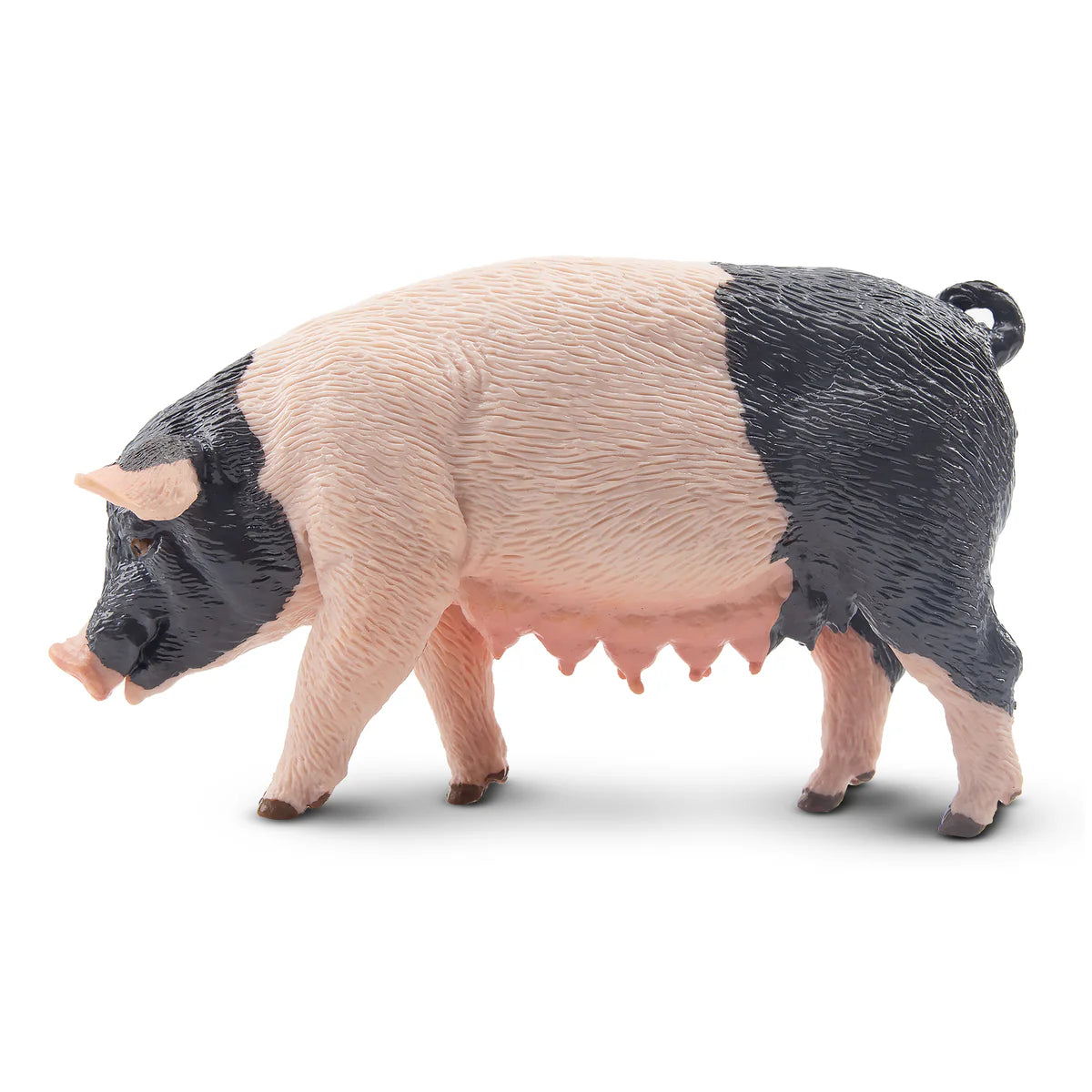 Toymany Cochon Pietrain Truie debout