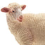 Toymany Sheep White Sheep
