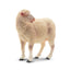 Toymany Sheep White Sheep