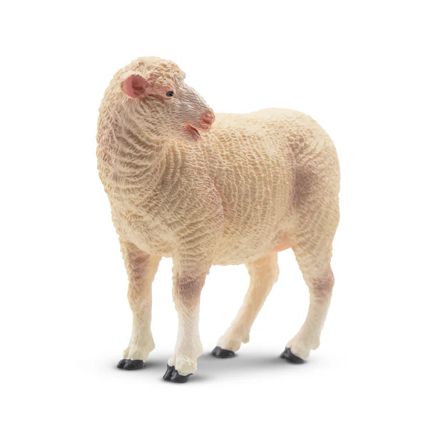Toymany Sheep White Sheep