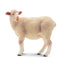 Toymany Sheep White Sheep