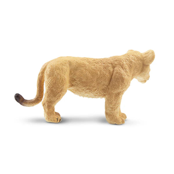 Toymany Löwenjunges stehend