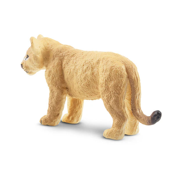 Toymany Löwenjunges stehend