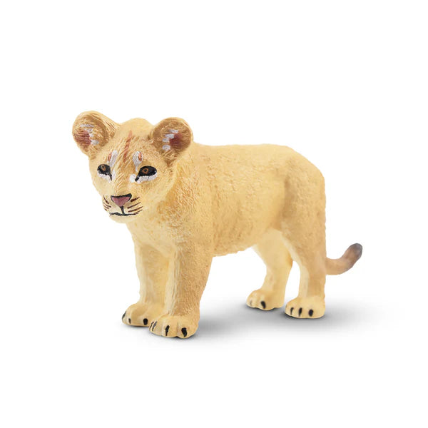 Toymany Löwenjunges stehend