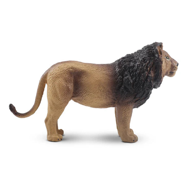 Toymany Lion debout