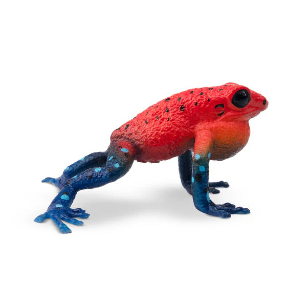 Toymany Erdbeer-Pfeilgiftfrosch