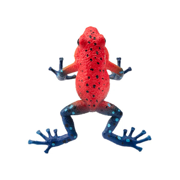 Toymany Erdbeer-Pfeilgiftfrosch