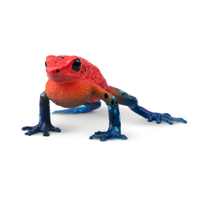 Toymany Grenouille venimeuse fraise