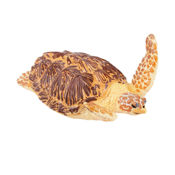 Toymany Tortue de Mer caouanne