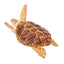 Toymany Tortue de Mer caouanne