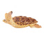 Toymany Tortue de Mer caouanne